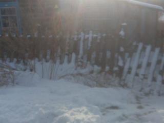  дом, 29.7 м², 25 соток