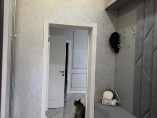 2-этажный дом, 230 м², 16.5 соток