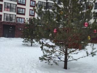 3-комн. квартира, 58.3 м², 4/9 этаж