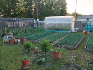 1-этажный дом, 19 м², 10 соток