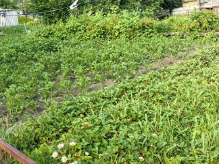 1-этажный дом, 76 м², 2 сотки