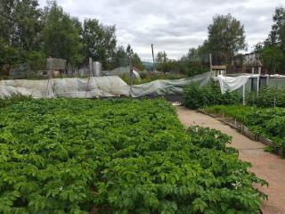  дом, 38.5 м², 15.5 соток