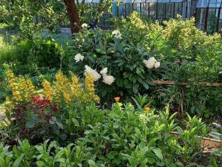  коттедж, 30 м², 6 соток