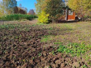  дом, 30 м², 11 соток