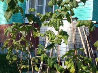  дом, 37.8 м², 6 соток