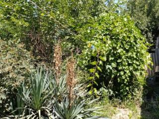 1-этажный дом, 75.9 м², 6 соток