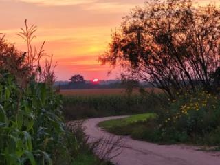 1-этажный дом, 60 м², 10 соток