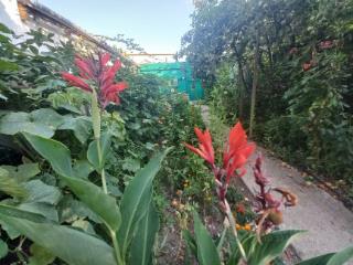 1-этажный дом, 95.1 м², 9.9 соток