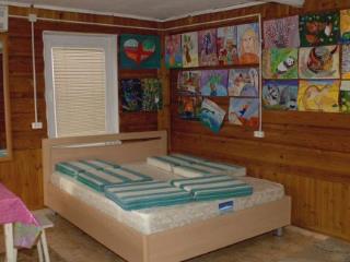  дом, 20 м², 25 соток