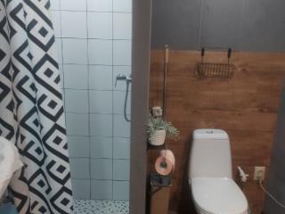 2-этажный дом, 130 м², 10 соток