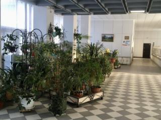 3-комн. квартира, 76 м², 18/25 этаж