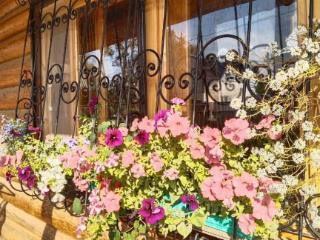  дом, 150 м², 12 соток