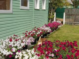 Продам земельный участок, 10 соток