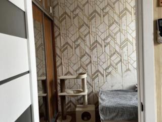 2-комн. квартира, 29.6 м², 1/2 этаж
