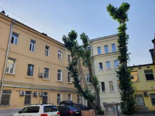 1-комн. квартира, 14.5 м², 1/7 этаж