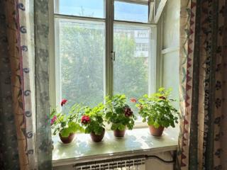 3-комн. квартира, 56.7 м², 2/5 этаж