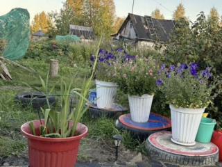  коттедж, 45 м², 6 соток