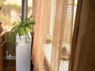 1-этажный дом, 65 м², 3 сотки