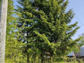 Продажа земли, 6 соток