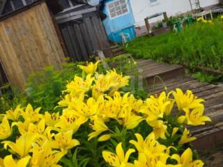 1-этажный дом, 43.1 м², 7.6 соток