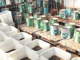  дом, 49 м², 6 соток