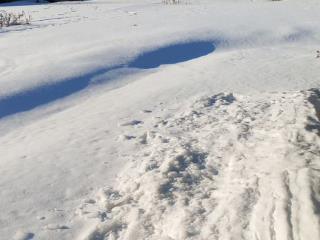  дом, 53.1 м², 9.5 соток