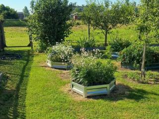  дом, 54 м², 25 соток