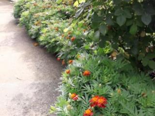 1-этажный дом, 46.5 м², 5.5 соток