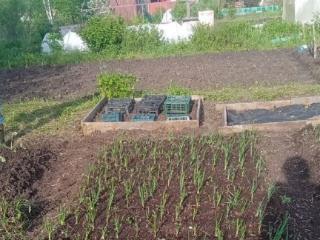  коттедж, 10 м², 6 соток