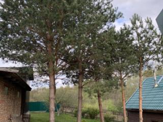 2-этажный дом, 186 м², 19 соток