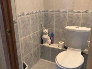 2-этажный дом, 206.8 м², 12 соток