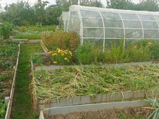  коттедж, 10 м², 11 соток