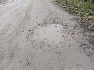 1-этажный дом, 39.8 м², 15 соток