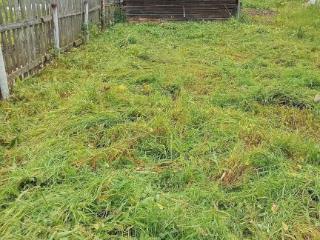  дом, 54 м², 10 соток