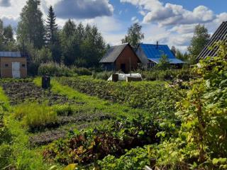  коттедж, 10 м², 6 соток