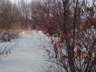 1-этажный дом, 48.9 м², 1 сотка