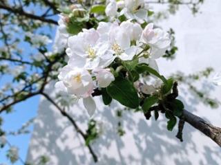 2-этажный коттедж, 67 м², 2.1 сотки