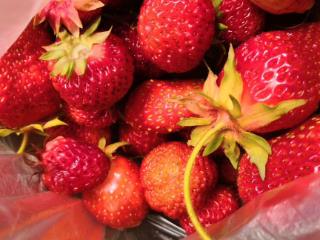  дом, 38 м², 7 соток