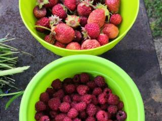  дом, 38 м², 7 соток