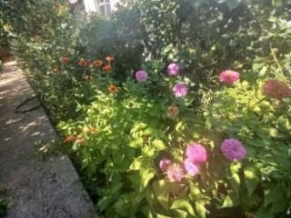 1-этажный дом, 95.1 м², 9.94 соток