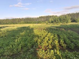  дом, 30 м², 25 соток