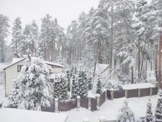 3 этажный, Таунхаус, 242.4 м², 8 соток, 3 этажа