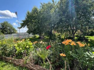  дом, 60 м², 50 соток