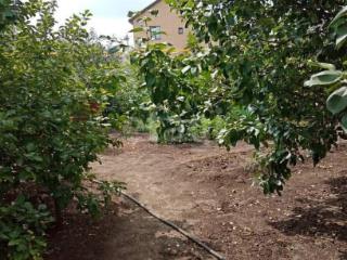 1-этажный дом, 70.7 м², 8.8 соток