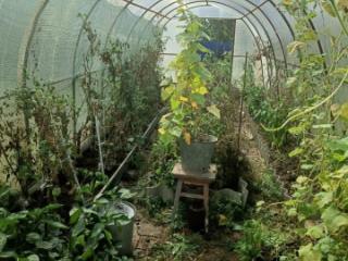 1-этажный дом, 104.65 м², 7.5 соток