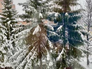 Комната, 400 м²