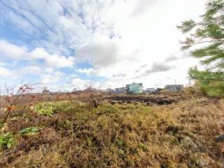 1-этажный дом, 50 м², 16 соток