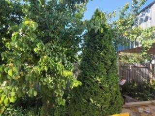 1-этажный дом, 107.4 м², 5.3 соток