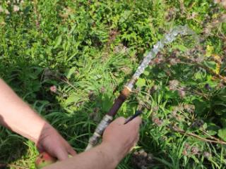 1-этажный дом, 23.2 м², 8.48 соток