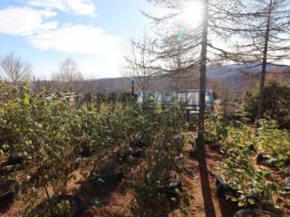 2-этажный дом, 58.6 м², 14 соток